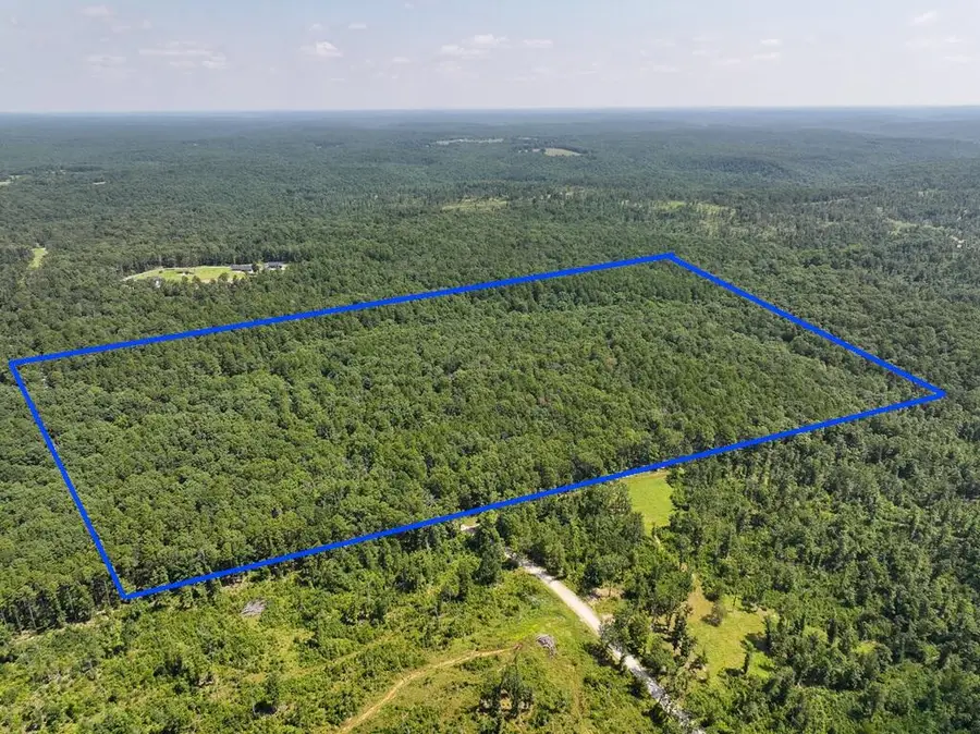 9102 Lynch Drive, Bucyrus, MO 65444 - #3