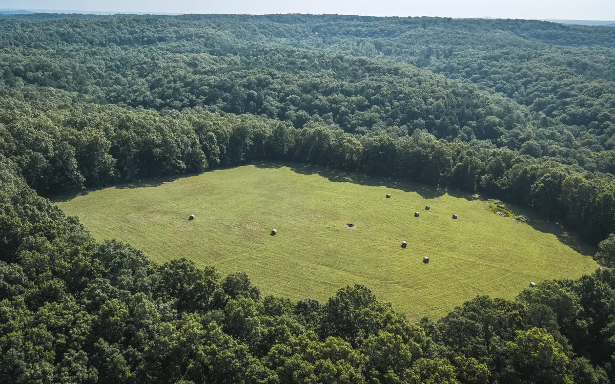 Tract 3 Private Drive #2336, Norwood, MO 65717 - #1