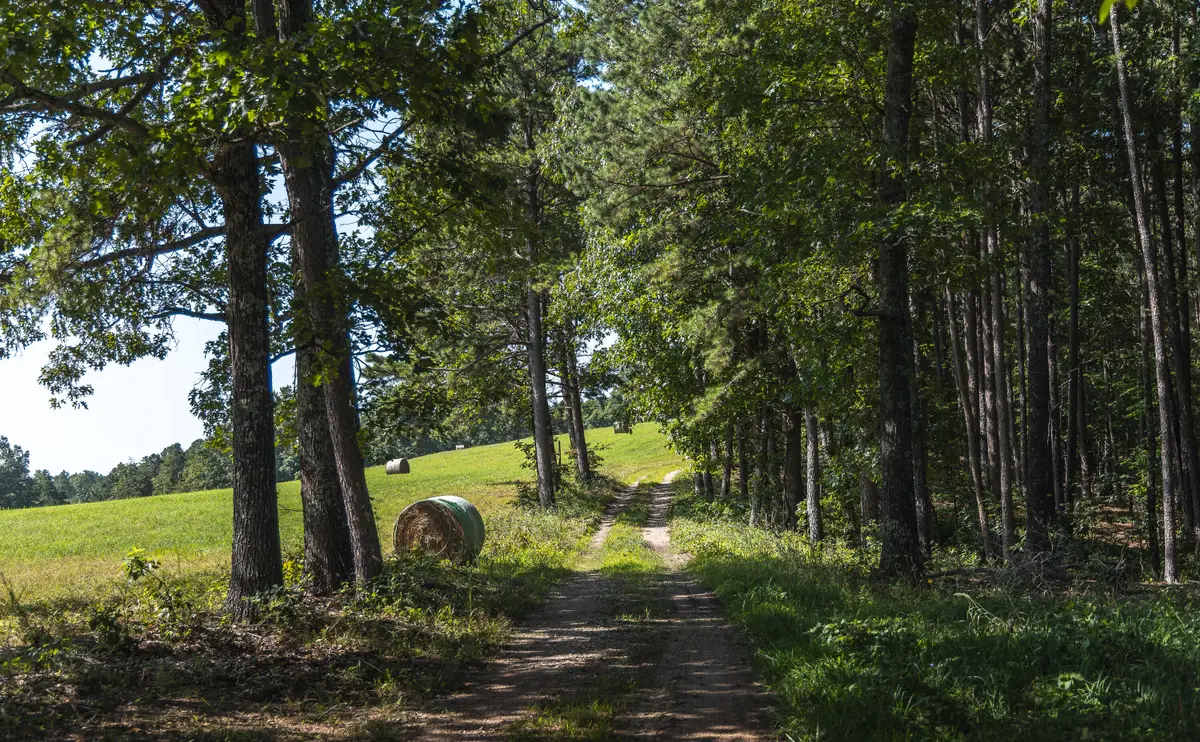 Tract 4 Private Drive #2336, Norwood, MO 65717 - #1