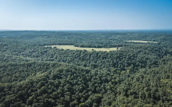 Tract 5 Private Drive #2336, Norwood, MO 65717