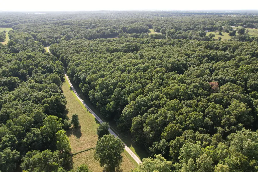 6731 Raccoon Road, Granby, MO 64844 - #3
