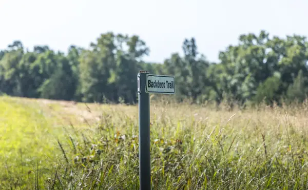 Tract 6 Private Drive #2336, Norwood, MO 65717