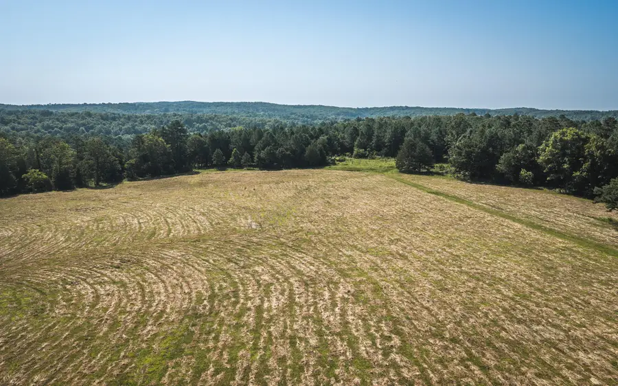 Tract 7 Private Drive #2336, Norwood, MO 65717 - #3