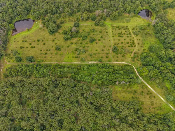 1825 NE 251 Road, Osceola, MO 64776