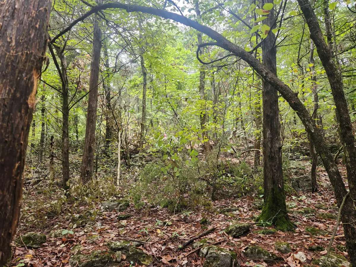 000 State Highway 86, Eagle Rock, MO 65641 - #1