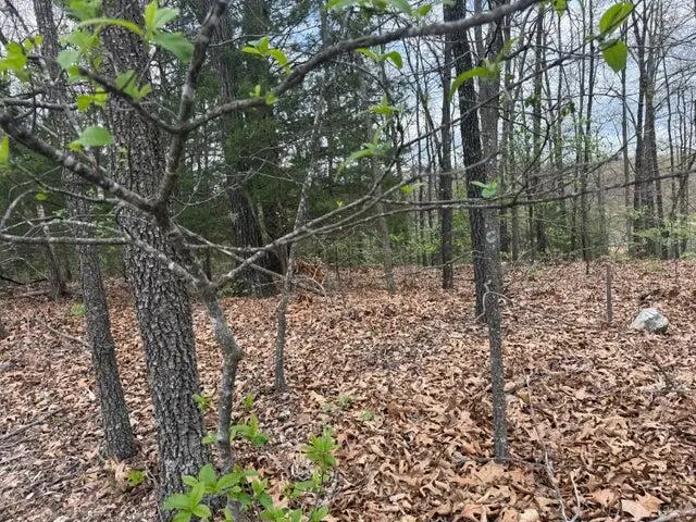 000 Entry Road #Lot 10, Ridgedale, MO 65739 - #2