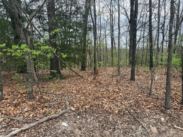 000 Entry Road #Lot 11-12, Ridgedale, MO 65739 - #3