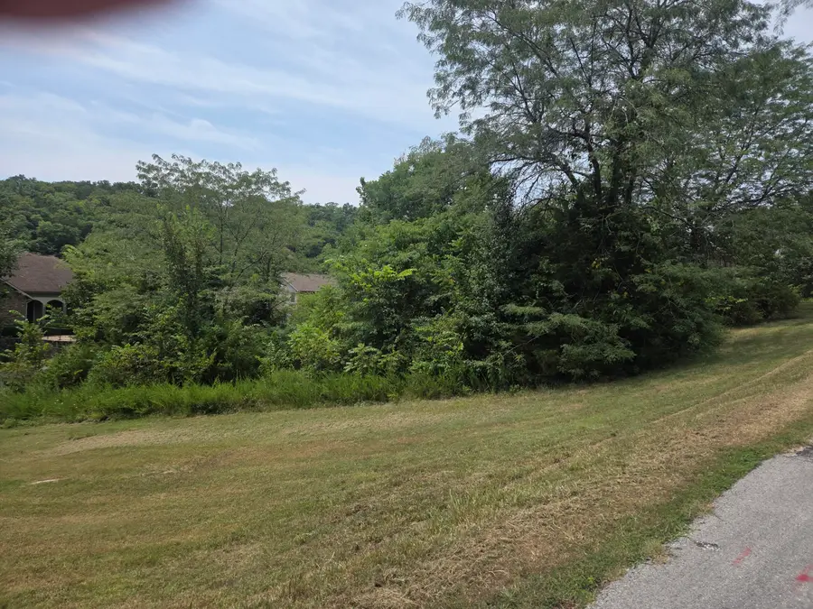 Lot 30 Roark Branch Road, Branson West, MO 65737 - #3