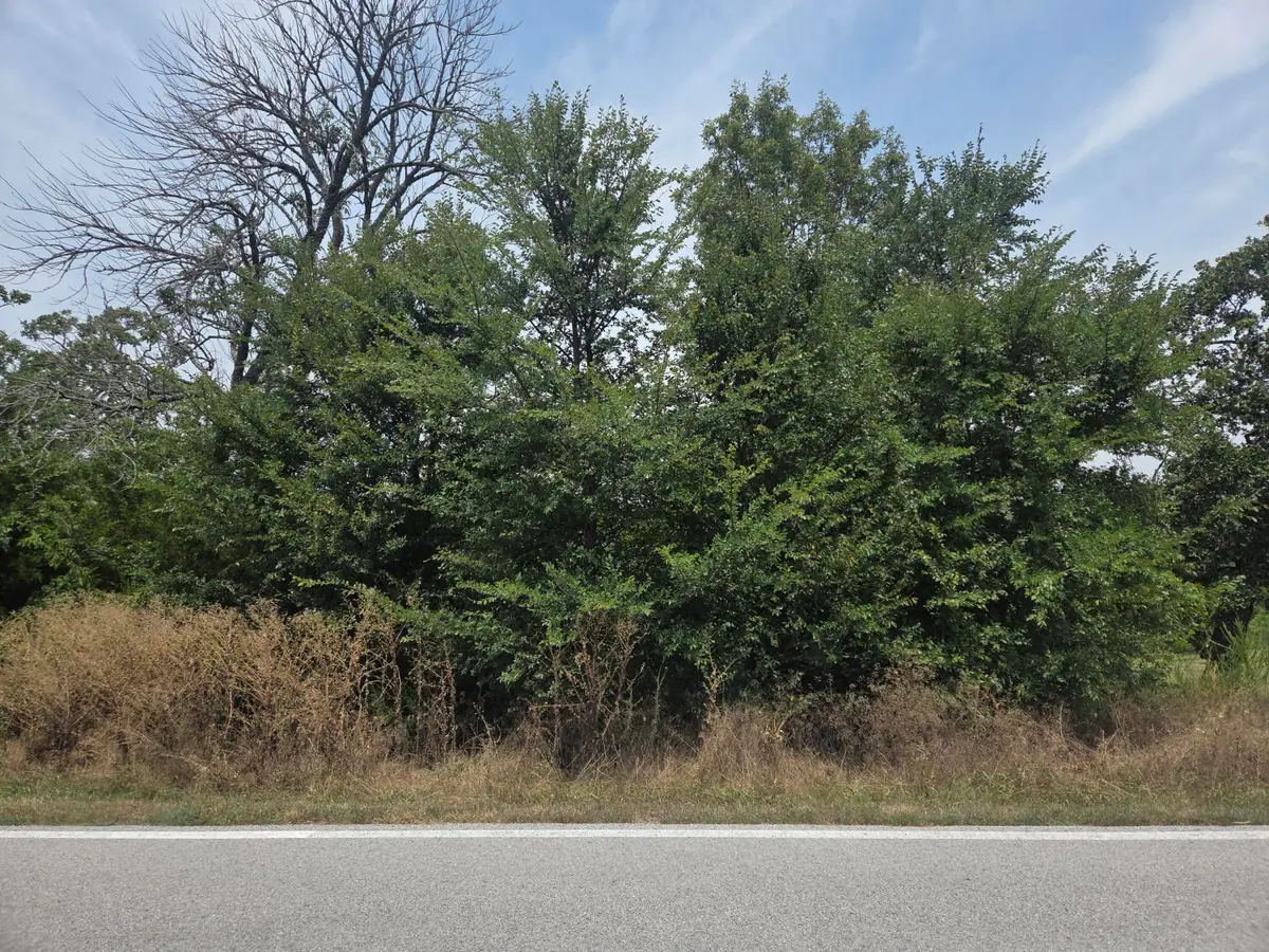 Lot 175 Black Forest Lane, Branson West, MO 65737 - #1