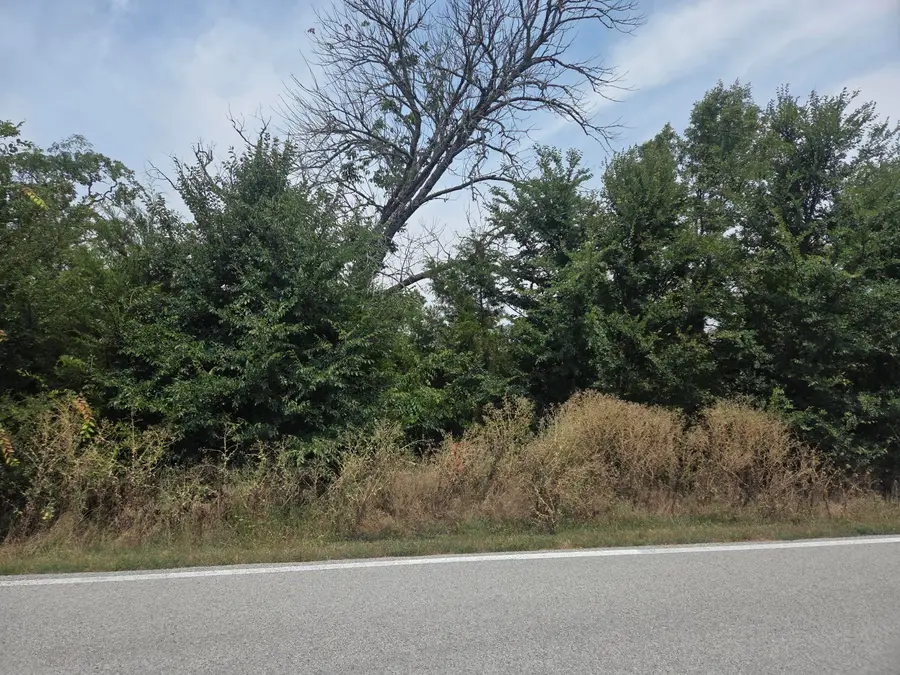 Lot 175 Black Forest Lane, Branson West, MO 65737 - #3
