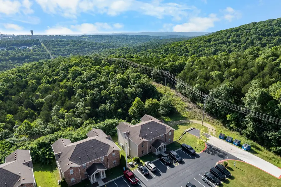 2919 Vinyards Parkway #2, Branson, MO 65616 - #2