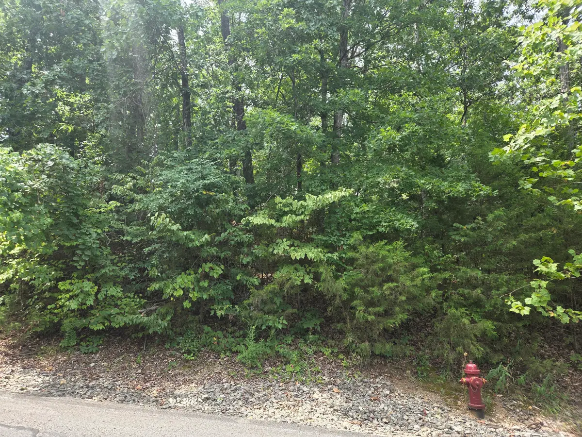 Lot 13 Silvercliff Way, Branson West, MO 65737 - #1