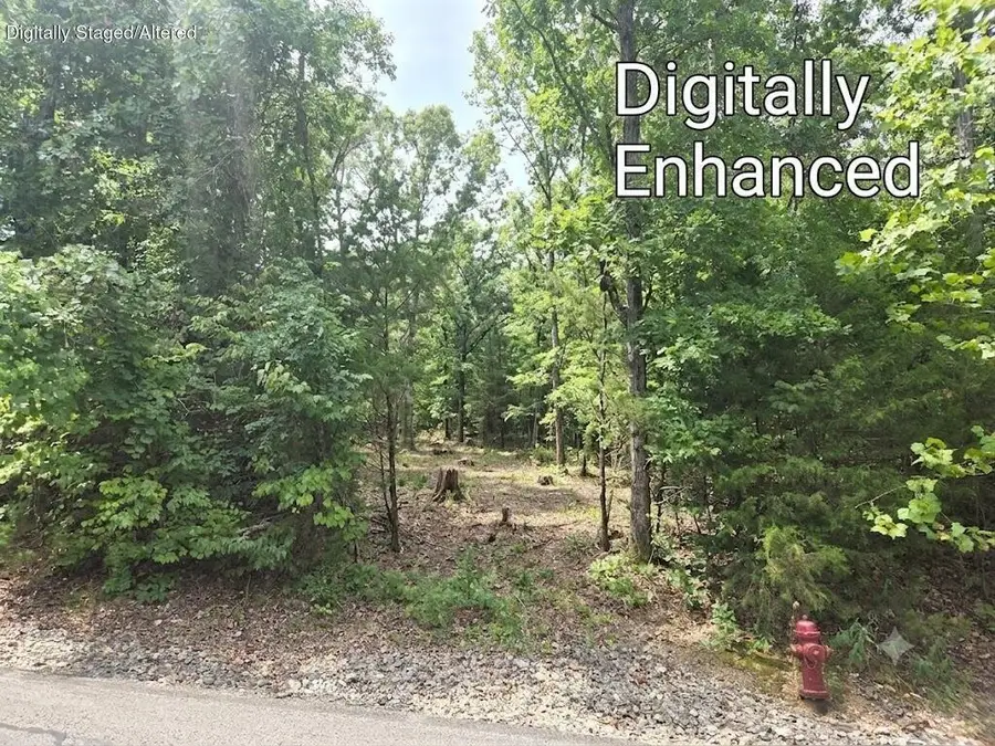 Lot 13 Silvercliff Way, Branson West, MO 65737 - #2