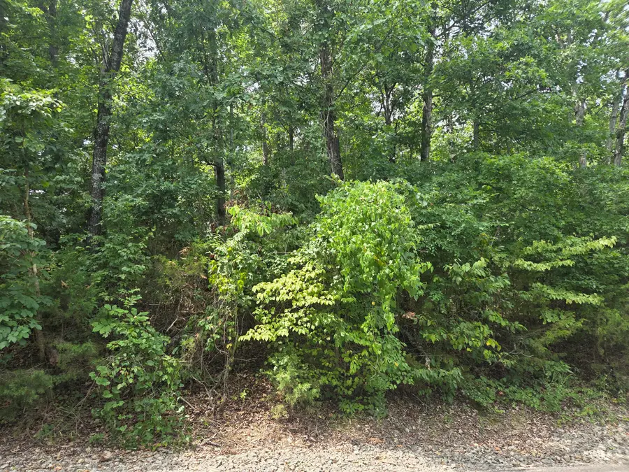 Lot 13 Silvercliff Way, Branson West, MO 65737 - #3
