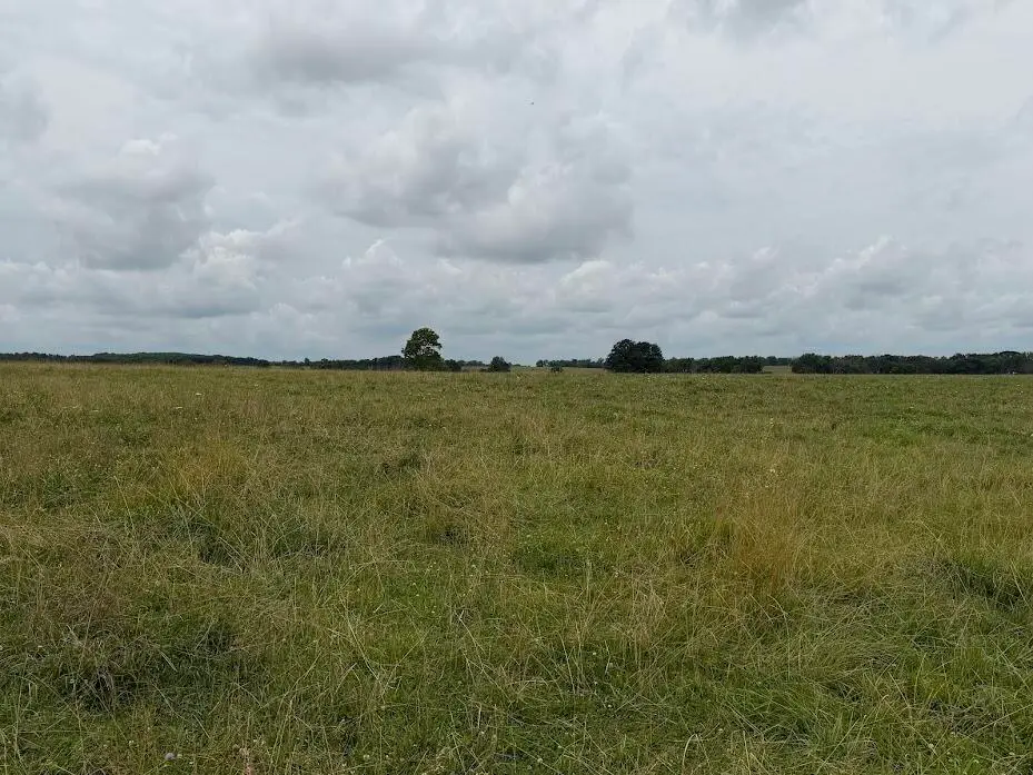 Tract 4 State Route T, Bolivar, MO 65613 - #1