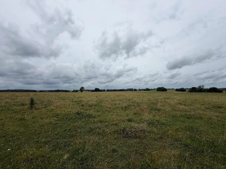 Tract 8 State Route T, Bolivar, MO 65613 - #1