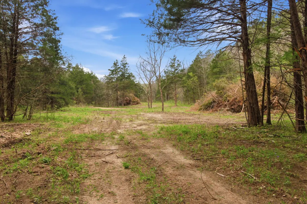 Tract3 W Highway 32, Licking, MO 65542 - #1