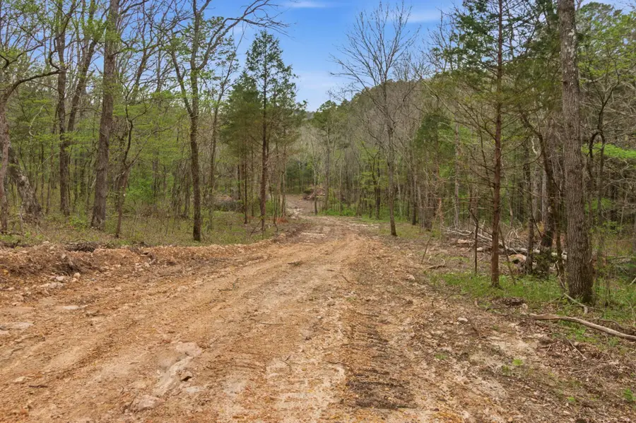 Tract3 W Highway 32, Licking, MO 65542 - #2