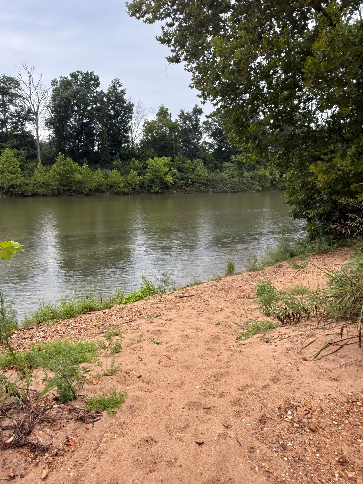 1597 State Highway Pp, Tecumseh, MO 65760 - #1