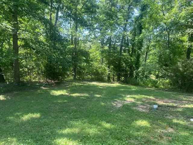 54 Buckskin Drive, Fordland, MO 65652 - #3