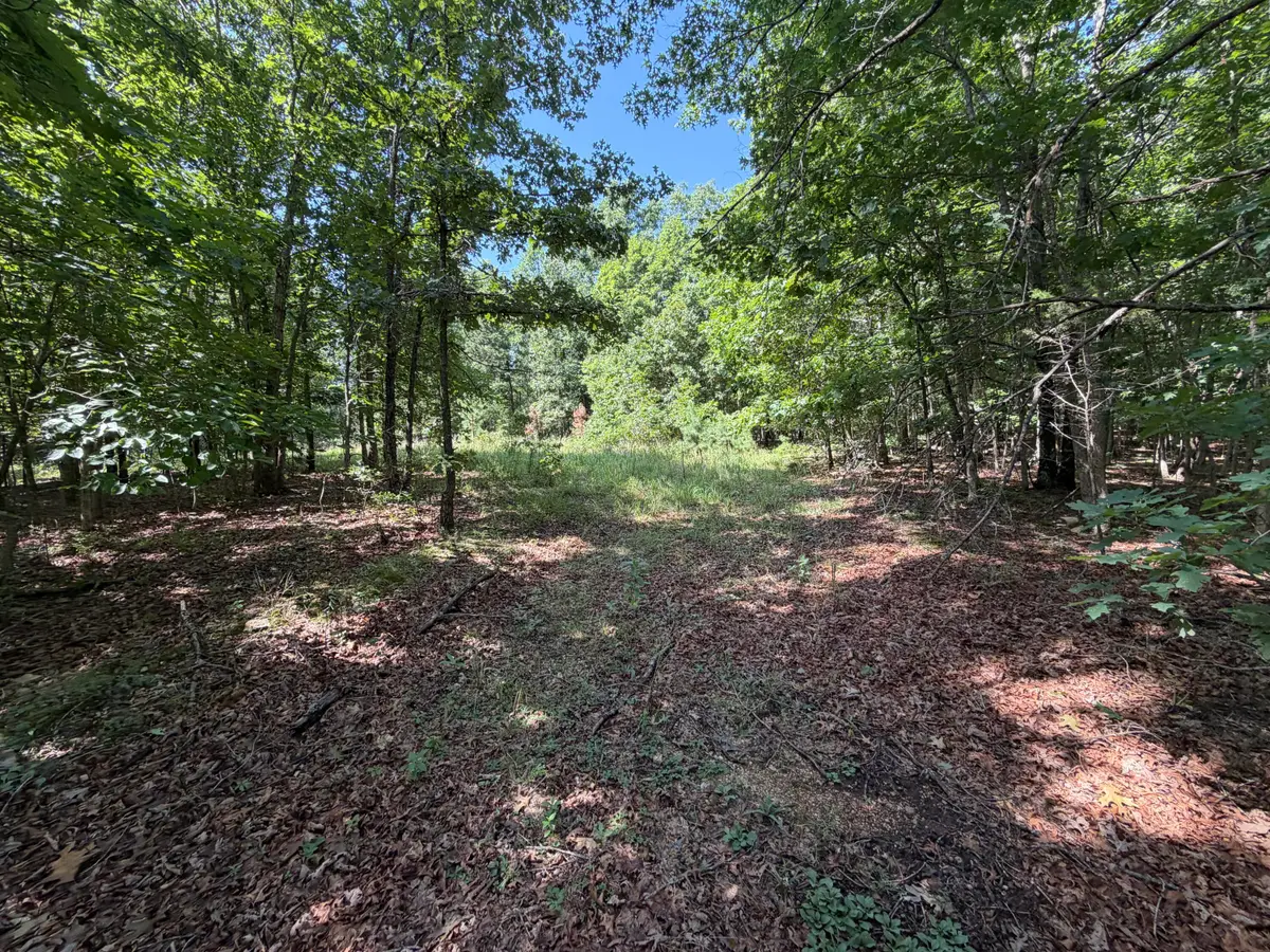000 Golden Trail #77, Raymondville, MO 65555 - #1