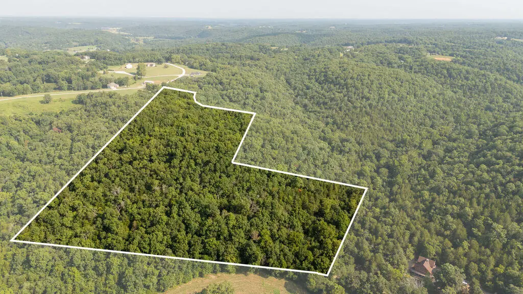 000 Misty Springs Road, Galena, MO 65656 - #1