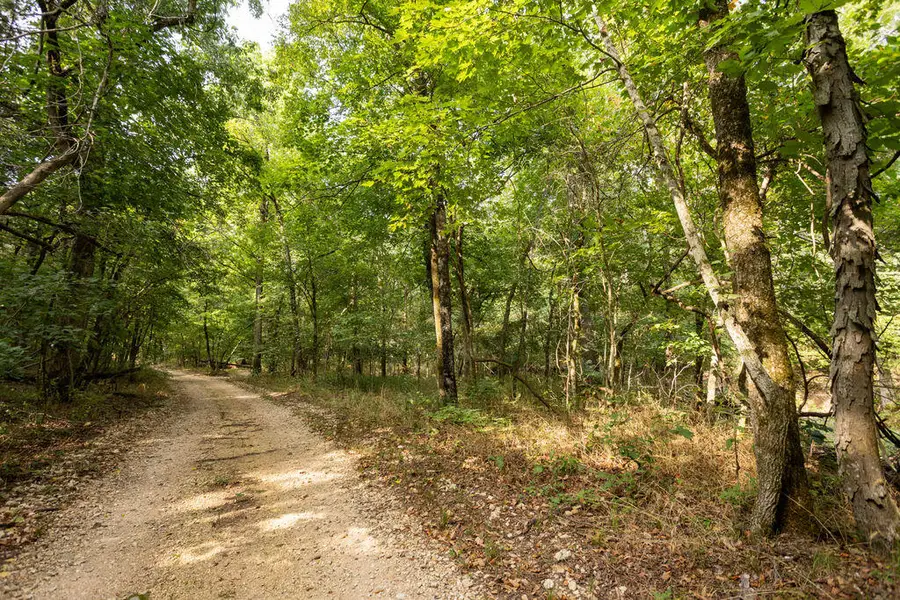 000 Misty Springs Road, Galena, MO 65656 - #2