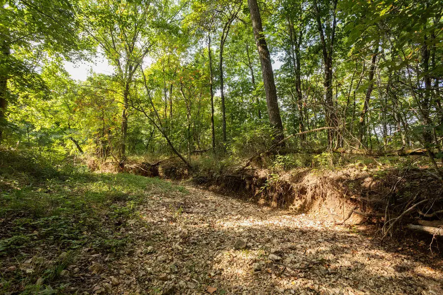 000 Misty Springs Road, Galena, MO 65656 - #3