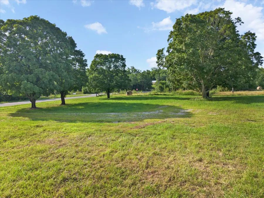 1009 Highway Kk, Pleasant Hope, MO 65725 - #2