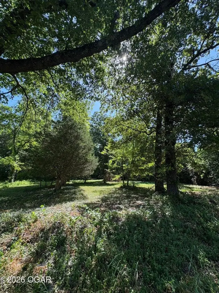 0.38+/- S Lincoln Street, Neosho, MO 64850 - #2