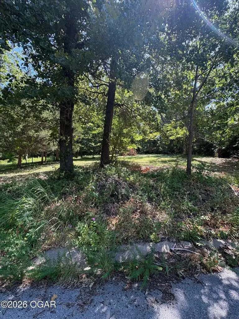 0.38+/- S Lincoln Street, Neosho, MO 64850 - #3