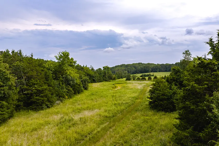 7121 County Road 1460, West Plains, MO 65775 - #3