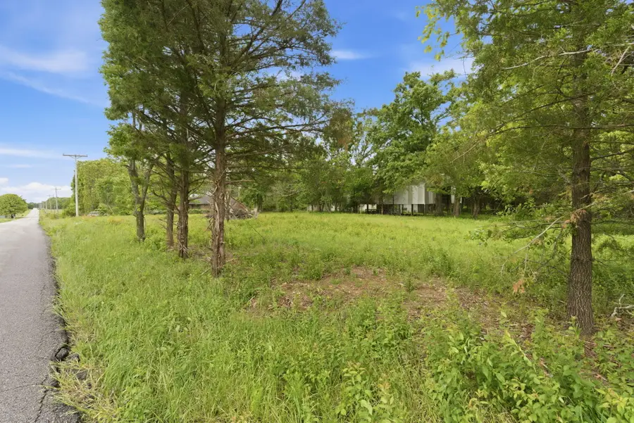000 Chicory Road #Tract 3, Rogersville, MO 65742 - #3
