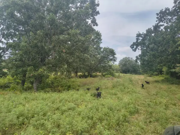 1830 Sweet Corn Drive, Galena, MO 65656