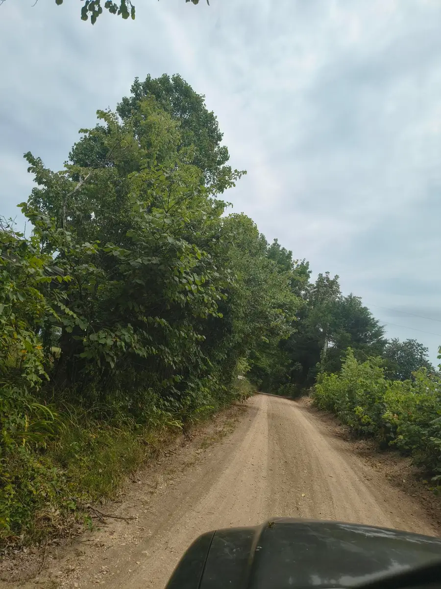 1830 Sweet Corn Drive, Galena, MO 65656 - #2