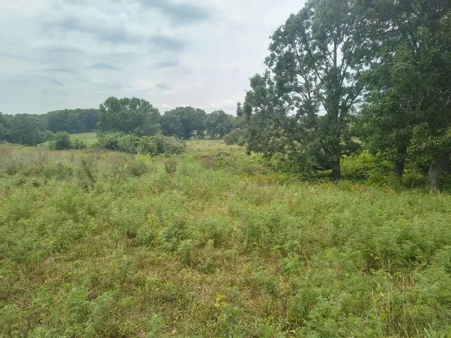1830 Sweet Corn Drive, Galena, MO 65656 - #3
