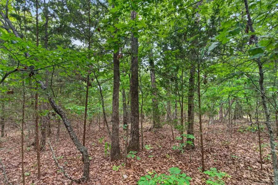 000 Alyeska Point Road #000, Lampe, MO 65681 - #2