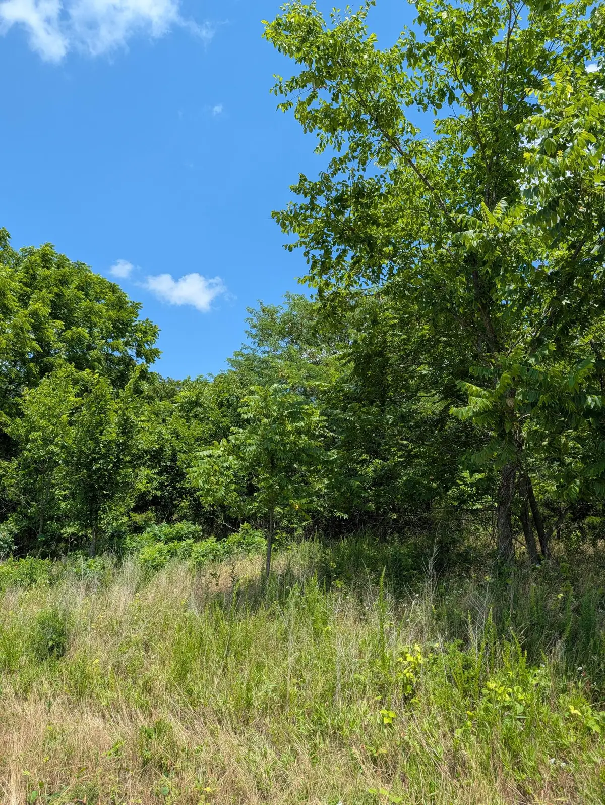 000 Crossroad Drive, Buffalo, MO 65622 - #1
