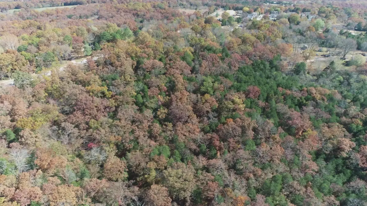 000 Highway 76, Kirbyville, MO 65679 - #1