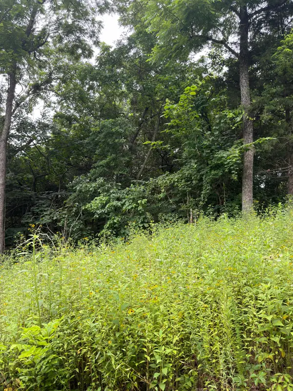 Lot 219 Big Creek Road, Shell Knob, MO 65747