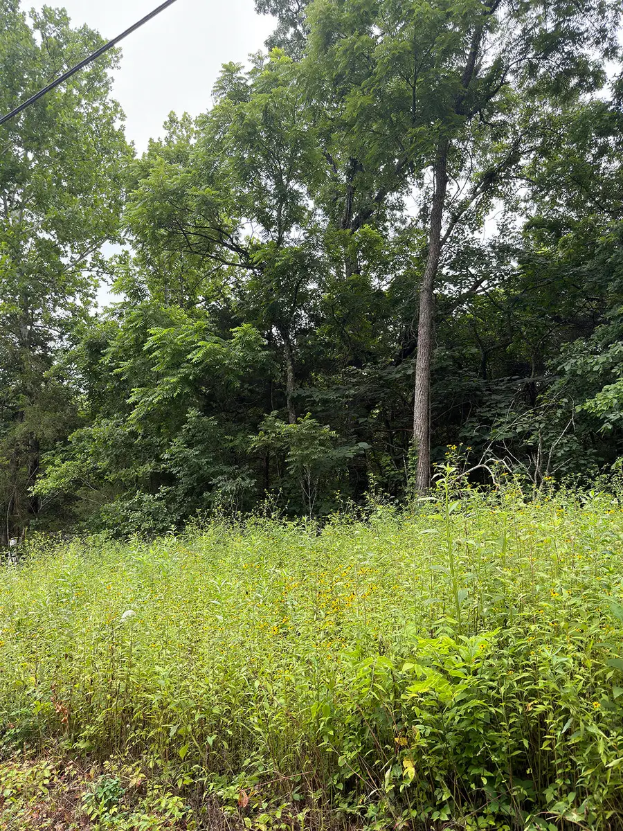 Lot 219 Big Creek Road, Shell Knob, MO 65747 - #3