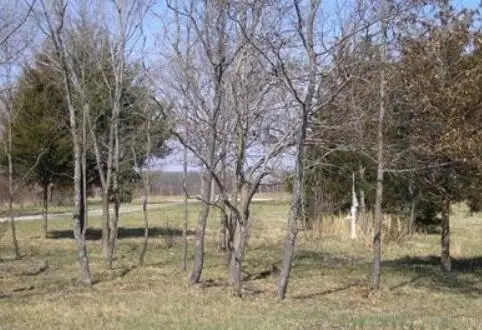 2294 State Highway 64, Louisburg, MO 65685