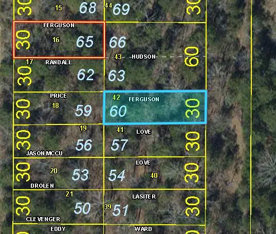 Lot 60 Gumbo Woods, Shell Knob, MO 65747 - #1