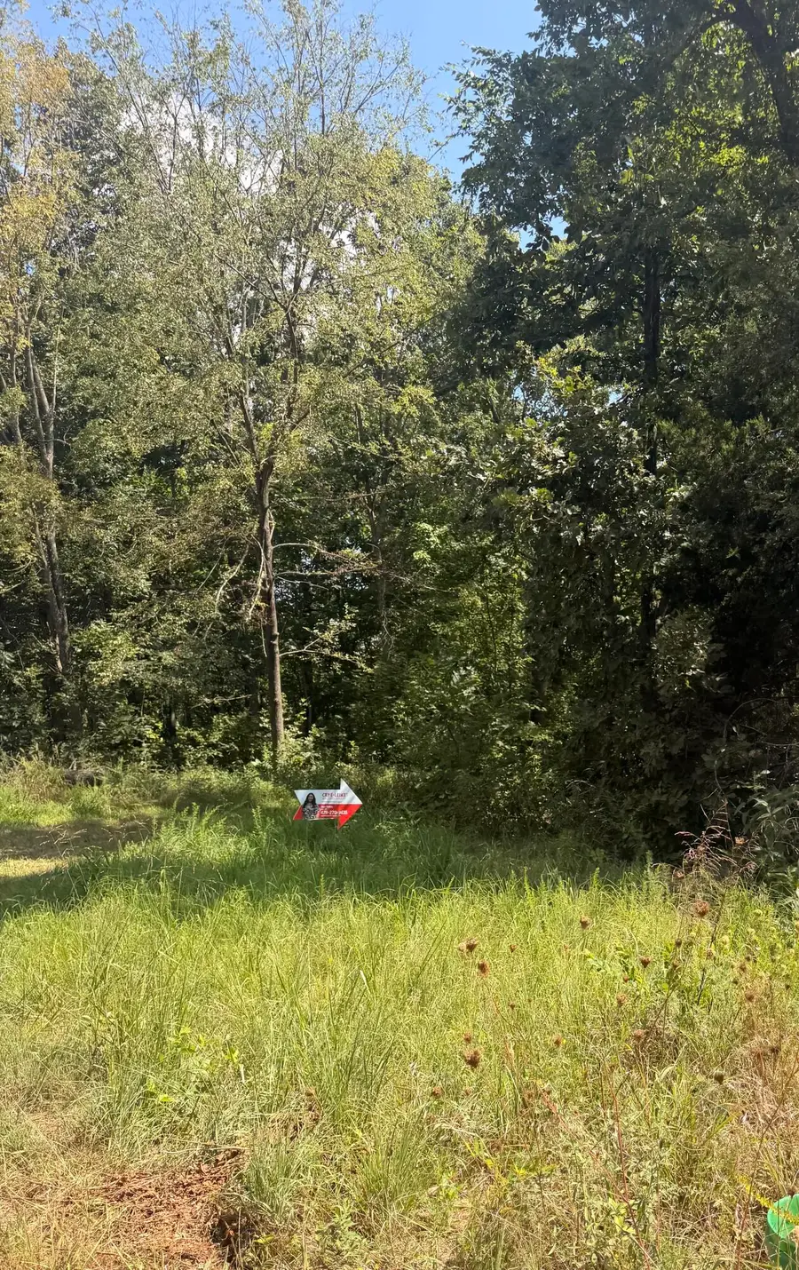000 Buford Road, Noel, MO 64854 - #2