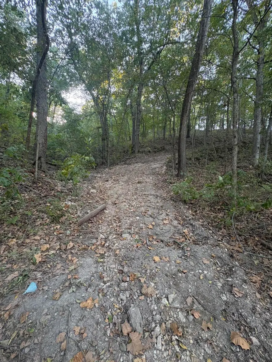 000 Buford Road, Noel, MO 64854 - #3