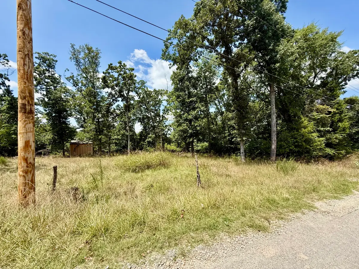 Lot 19 Greenwood Drive, Merriam Woods, MO 65740 - #1