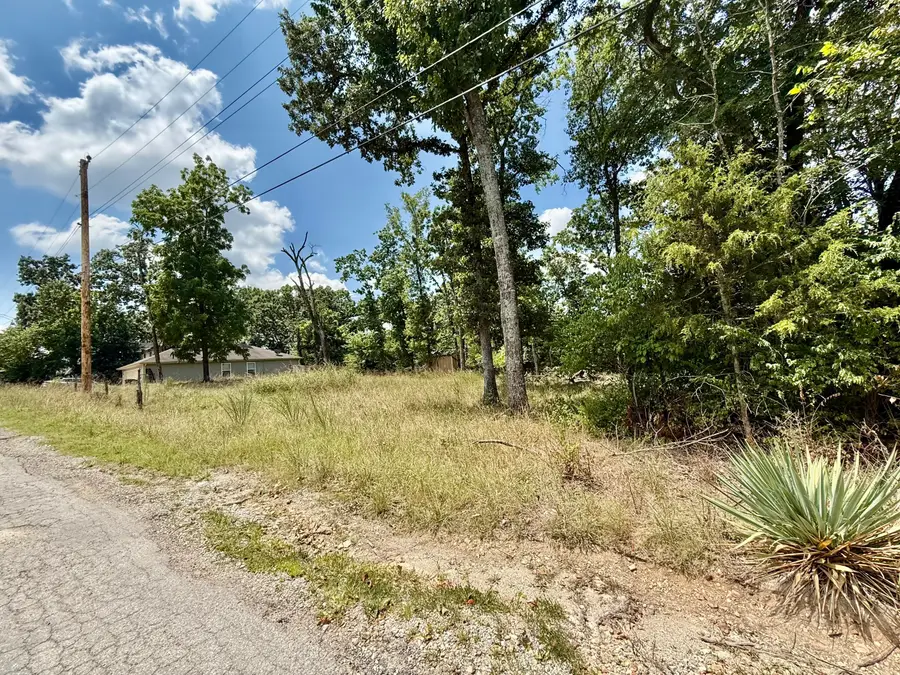 Lot 19 Greenwood Drive, Merriam Woods, MO 65740 - #3