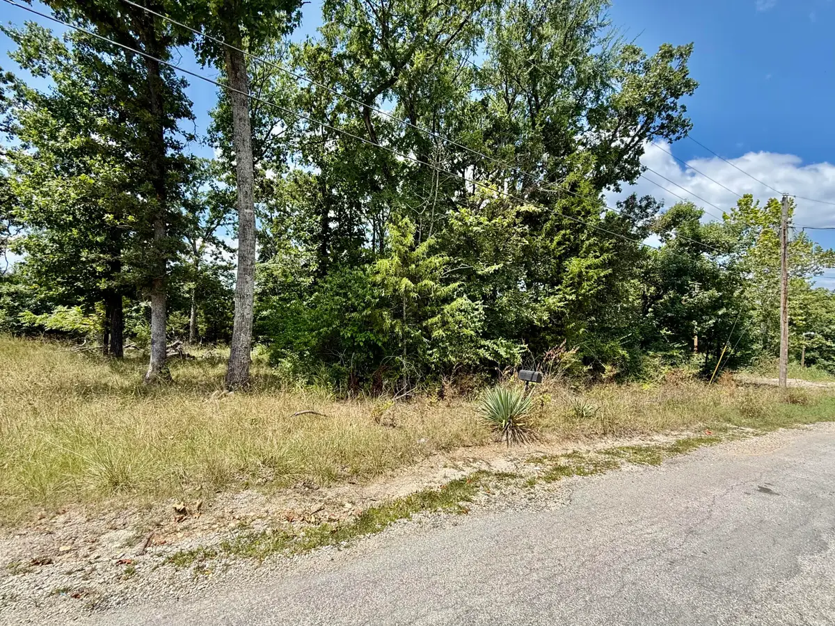 Lot 18 Greenwood Drive, Merriam Woods, MO 65740 - #1