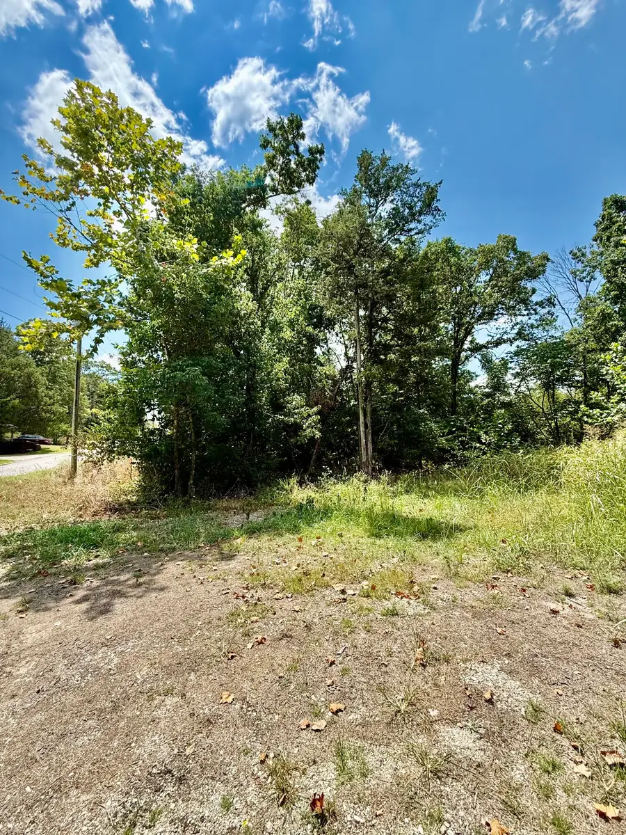 Lot 18 Greenwood Drive, Merriam Woods, MO 65740 - #3
