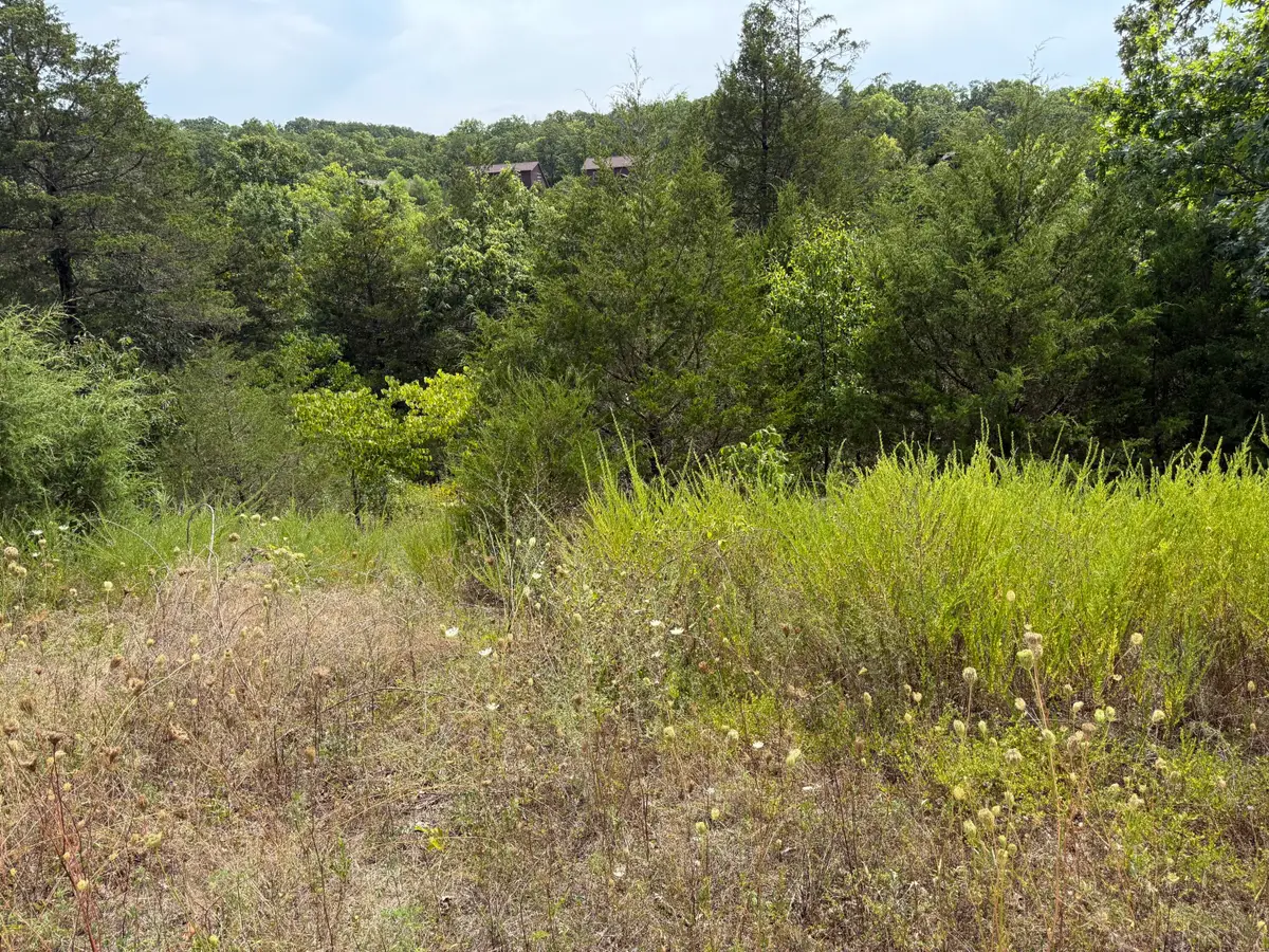 224 Blue Lake Trail, Branson West, MO 65737 - #1